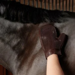 Gants De Pansage*Grooming Deluxe - Gant de Grooming en caoutchouc brun Marron