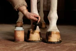 Outlet - Huile de brillance pour sabots naturel Huiles Pour Sabots