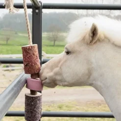 Jouets Pour Chevaux*Grooming Deluxe - Jouet en bois relaxant pour cheval avec pierre à sel Sammy