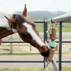 Outlet - Jouet en bois relaxant pour cheval avec pierre à sel Airways Jouets Pour Chevaux
