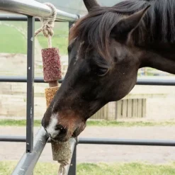 Discount - Jouet en bois relaxant pour cheval De-Stress Jouets Pour Chevaux