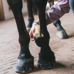 - Laine thérapeutique Accessoires De Massages|Bandes De Soins