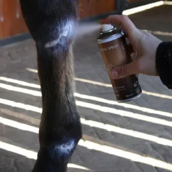 Best - Spray au zinc Cicatrisants