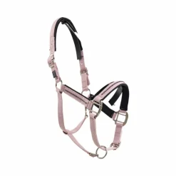 Licols Poneys|Ensembles Licols Et Longes*Harcour - Ensemble licol et longe Amour pivoine Rose