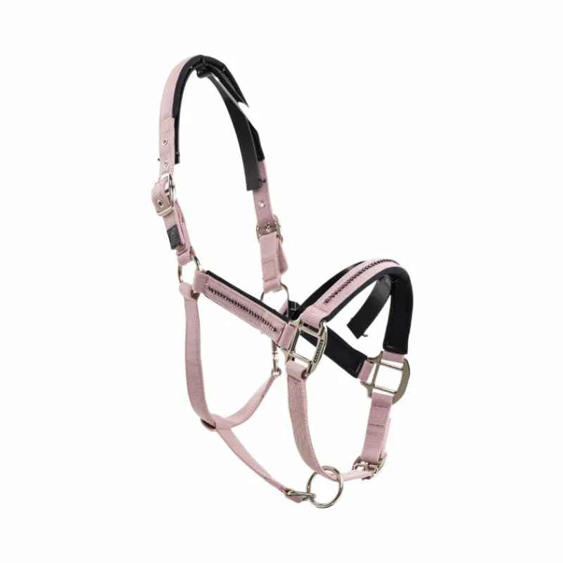 Licols Poneys|Ensembles Licols Et Longes*Harcour - Ensemble licol et longe Amour pivoine Rose