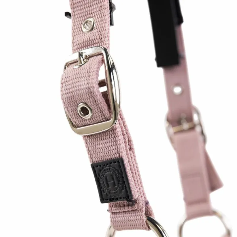 Licols Poneys|Ensembles Licols Et Longes*Harcour - Ensemble licol et longe Amour pivoine Rose