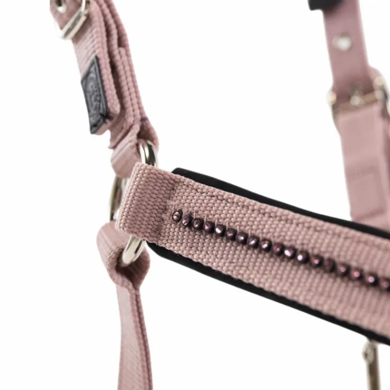 Licols Poneys|Ensembles Licols Et Longes*Harcour - Ensemble licol et longe Amour pivoine Rose