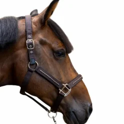 Clearance - Ensemble licol et longe Amour cacao Licols Poneys|Ensembles Licols Et Longes