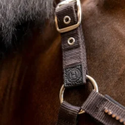 Clearance - Ensemble licol et longe Amour cacao Licols Poneys|Ensembles Licols Et Longes