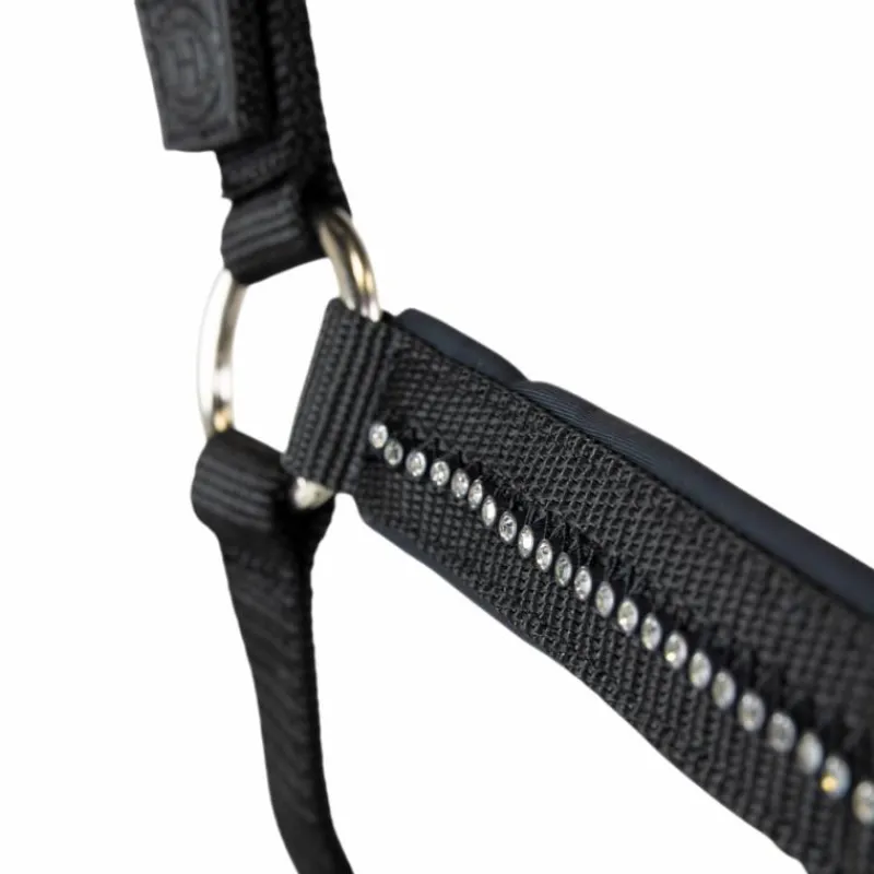 Licols Poneys|Ensembles Licols Et Longes*Harcour - Ensemble licol et longe Amour Noir