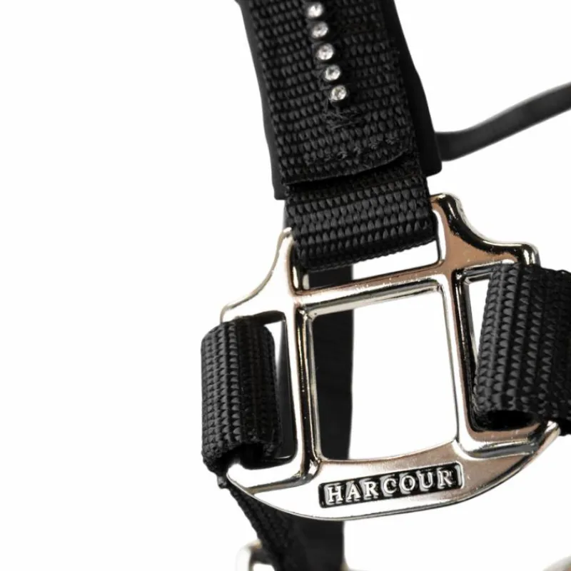 Licols Poneys|Ensembles Licols Et Longes*Harcour - Ensemble licol et longe Amour Noir