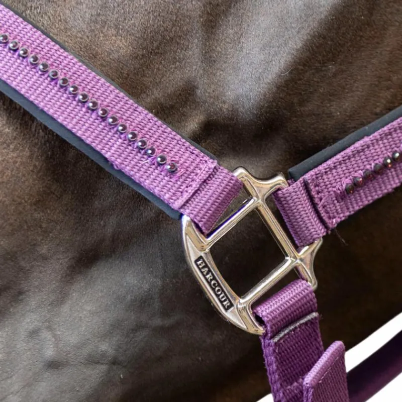 Licols Poneys|Ensembles Licols Et Longes*Harcour - Ensemble licol et longe Amour figue Violet