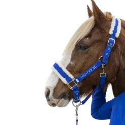 Clearance - Licol et longe Teschic électrique Ensembles Licols Et Longes