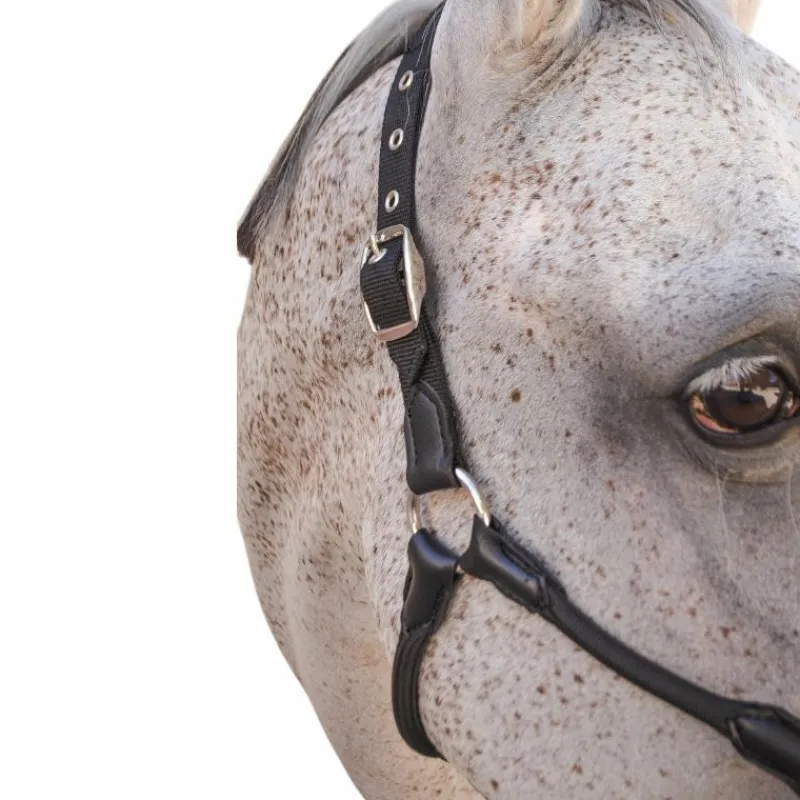 Licols Poneys*Harcour - Licol pour chevaux Honey Noir