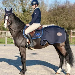 Pulls Et Gilets|Pulls Et Gilets*Harcour - Sweat Teddy Anaheim Marine