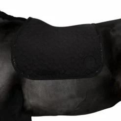 Tapis De Selle Poneys|Tapis De Selle*Harcour - Tapis de selle Saphir Noir