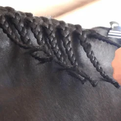 Grooming|Élastiques/ Pirelli*Hippotonic - 450 élastiques silicone Noir