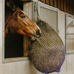 Filets Et Sacs À Foin*Hippotonic - Filet à foin fin et violet Noir
