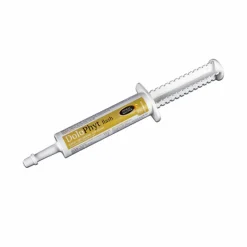 Outlet - Complément alimentaire seringue confort locomoteur Dolophyt Bien Être|Vieux Chevaux