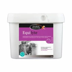 Récupération Musculaire|Électrolytes*Horse Master -  Complément alimentaire eletrolytes et antioxydants Equilyte