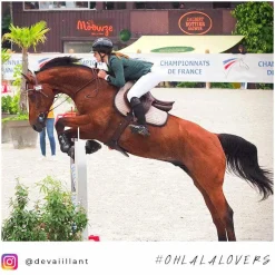 Bottes D'Équitation*Horse Pilot - Bottes d'équitation femme Teknit Boot Noir