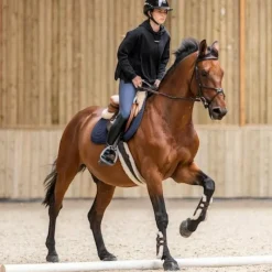 Pulls Et Gilets*Horse Pilot - Sweat à capuche femme Team Noir