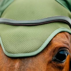 Clearance - Bonnet pour chevaux Amigo bramble Bonnets Poneys|Bonnets Pour Chevaux
