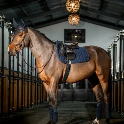 Best - Bonnet pour chevaux Amigo Bonnets Poneys|Bonnets Pour Chevaux