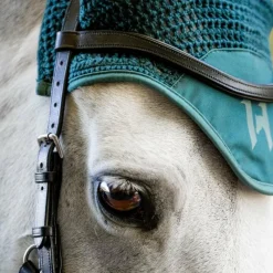 Sale - Bonnet pour chevaux Ear Net dynasty green Bonnets Pour Chevaux