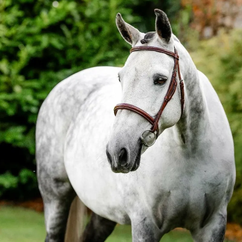 Discount - Bridon Cavesson Hunter avec rênes dark tan Bridons