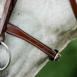 Discount - Bridon Cavesson Hunter avec rênes dark tan Bridons