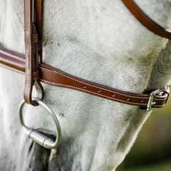 Discount - Bridon Cavesson Hunter avec rênes dark tan Bridons