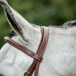 Discount - Bridon Cavesson Hunter avec rênes dark tan Bridons