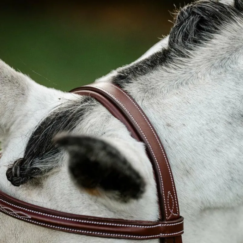 Discount - Bridon Cavesson Hunter avec rênes dark tan Bridons