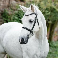 - Bridon Cavesson Pony Bridons