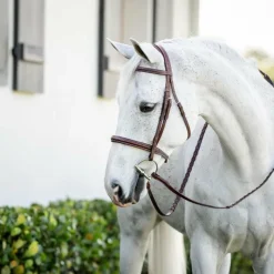 Hot - Bridon Cavesson Hunter Pony avec rênes dark tan Bridons