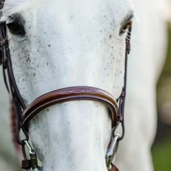 Hot - Bridon Cavesson Hunter Pony avec rênes dark tan Bridons