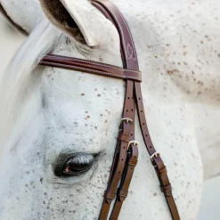 Hot - Bridon Cavesson Hunter Pony avec rênes dark tan Bridons