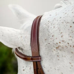 Hot - Bridon Cavesson Hunter Pony avec rênes dark tan Bridons