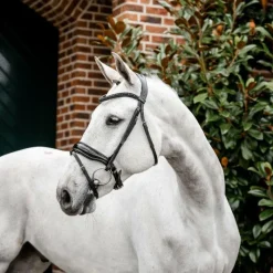 Bridons*Horseware - Bridon Diamante Flash / Noir