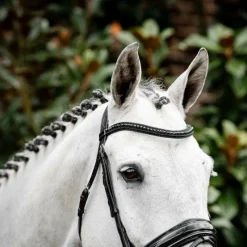 Bridons*Horseware - Bridon Diamante Flash / Noir