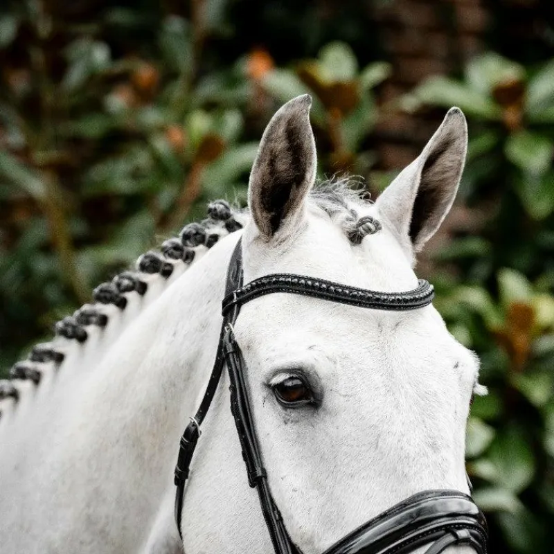 Bridons*Horseware - Bridon Diamante Flash / Noir