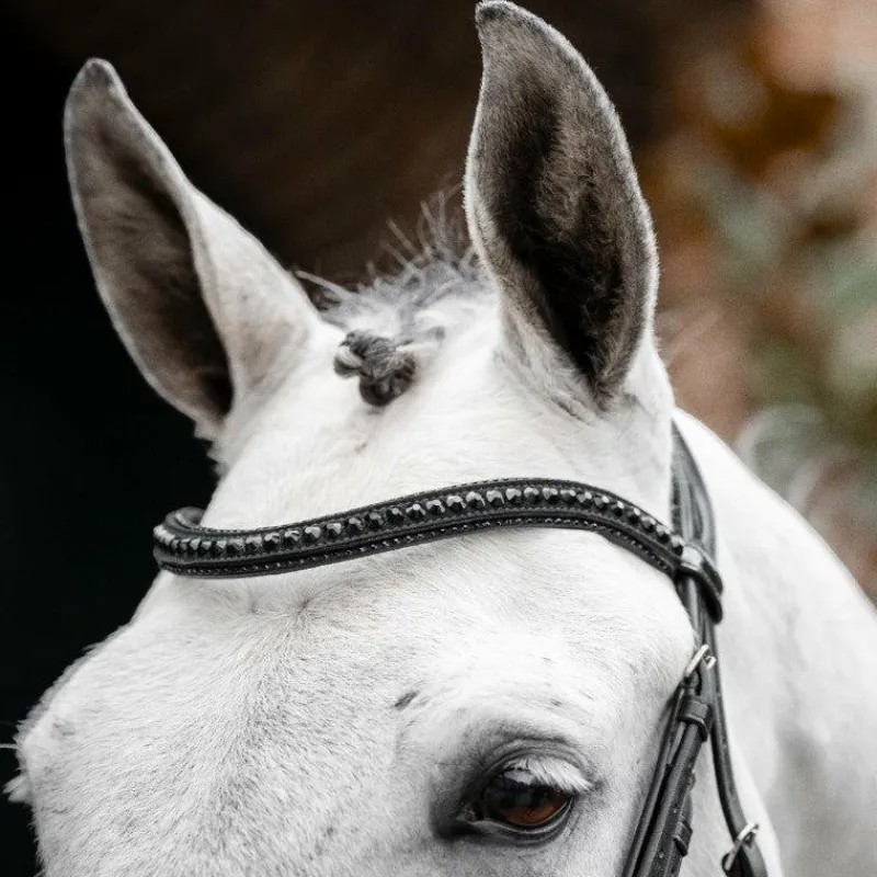 Bridons*Horseware - Bridon Diamante Flash / Noir