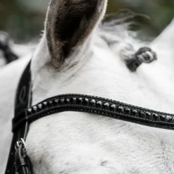 Bridons*Horseware - Bridon Diamante Flash / Noir