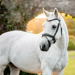 Best - Bridon Dressage Pony Flash Bridons