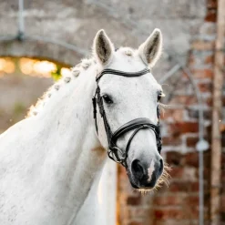 Best - Bridon Dressage Pony Flash Bridons