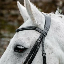 Best - Bridon Dressage Pony Flash Bridons