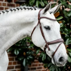 Clearance - Bridon Dressage Flash Bridons