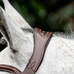 Clearance - Bridon Dressage Flash Bridons