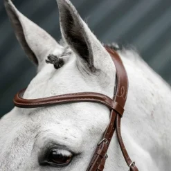 Clearance - Bridon Dressage Flash Bridons